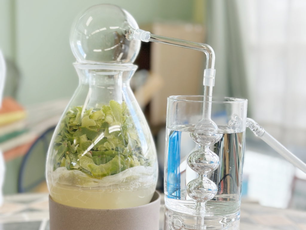 神奈川県厚木市 ライム精油 水蒸気蒸留会 精油抽出1