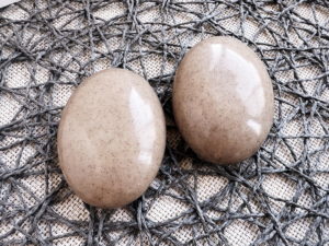 神奈川県手作り石けん教室 台湾式石けん 台湾芸術協会プロフェッショナルコース キッチンソープ台湾式 神奈川県手作り石けん教室 台湾式石けん 台湾芸術協会プロフェッショナルコース キッチンソープ台湾式