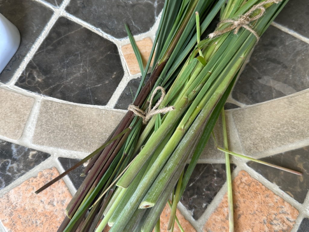 水蒸気蒸留体験講座　厚木市　神奈川県　小田急線沿い　ハーブ栽培1