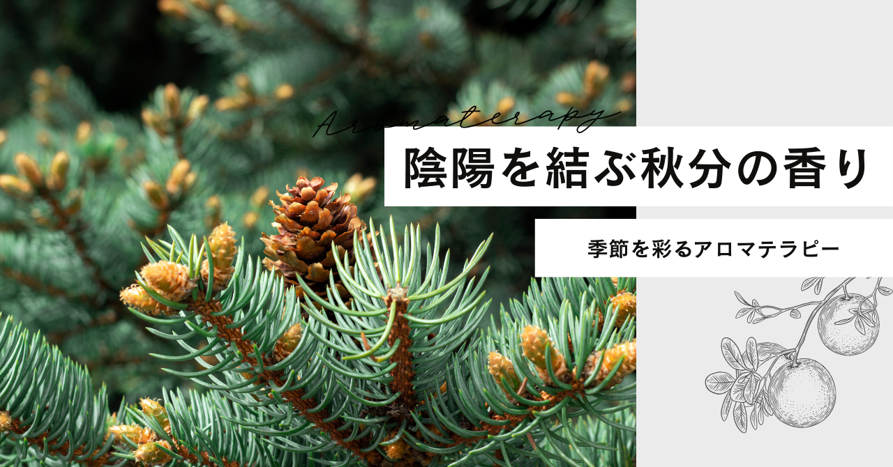 アロマテラピー　中医学　陰陽五行　秋分の香り
