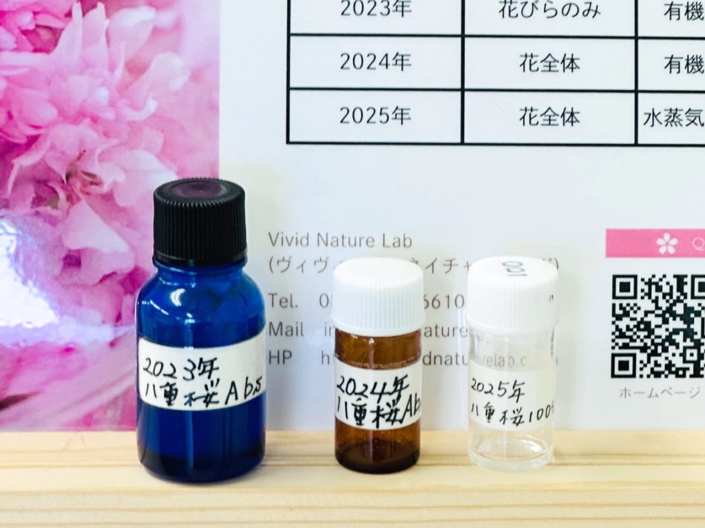 神奈川県産八重桜天然香料　桜精油　和精油　精油抽出2025 (2)　桜精油嗅ぎ比べ