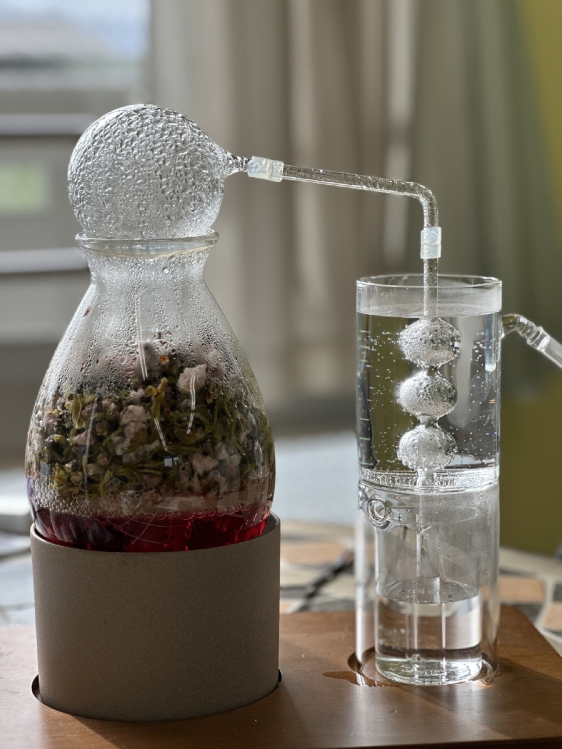 八重桜水蒸気蒸留　八重桜塩漬け　和精油　春の香り　日本の香り　アロマテラピー