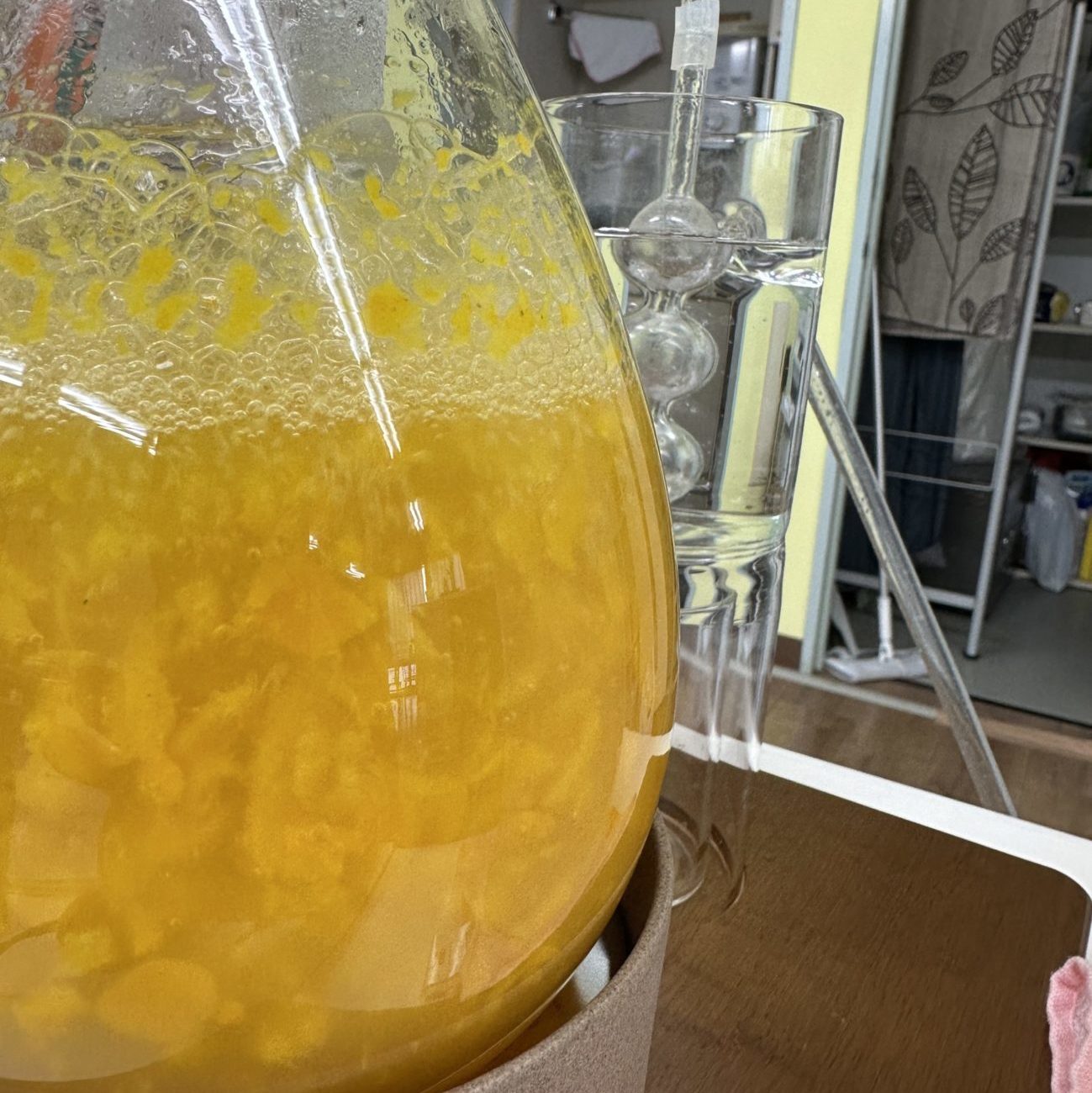 キンカン水蒸気蒸留　キンカン精油　金柑精油　和の香り　蒸留体験　アロマテラピー　神奈川県厚木市