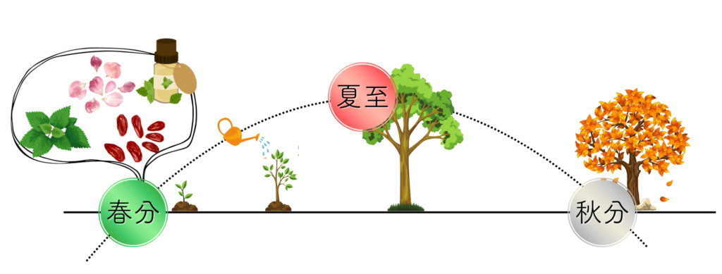 自然のリズムで整うアロマと東西和ハーブの養生学　薬膳　中医学　オンラインで学べる講座