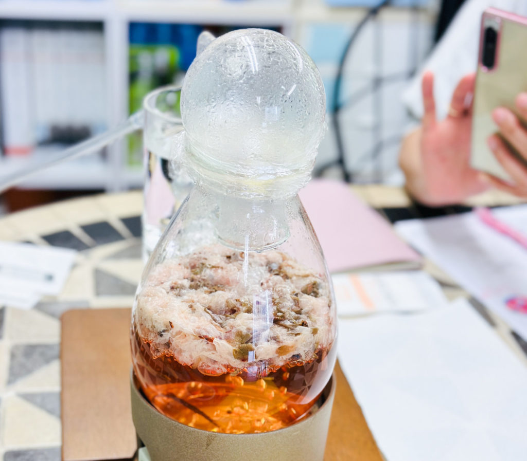 八重桜水蒸気蒸留 八重桜塩漬け 和精油 春の香り 日本の香り アロマテラピー2